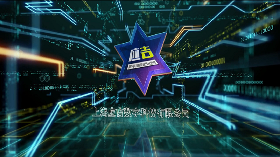 上海應(yīng)吉數(shù)字科技有限公司 簡(jiǎn)介視頻